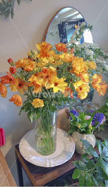 plant,식물,blossom,꽃,flower,flowerarrangement,꽃꽂이,식물,자연,plants,nature,꽃,flower