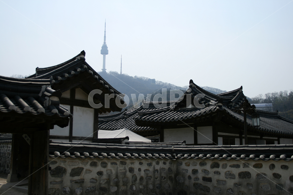 기와,지붕,기와지붕,한국,전통가옥,고택,한옥,한국전통,한국문화,korean traditional,korean culture,랜드마크,landmark,tourist attraction,한국랜드마크,한국관광지,한국명소,korea landmark,korea tourist attraction,건축물,건물외관,exterior,building,structure,architecture,construction