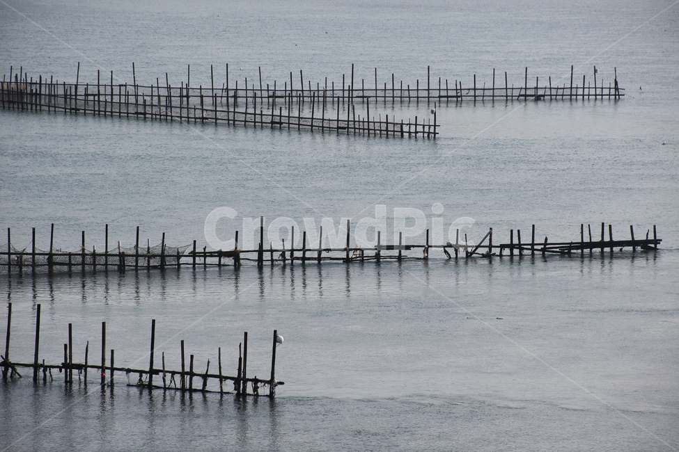 남해,바다,죽방렴,원시어업,그물,산업,industry,industrial,어업,fishery,fishing industry