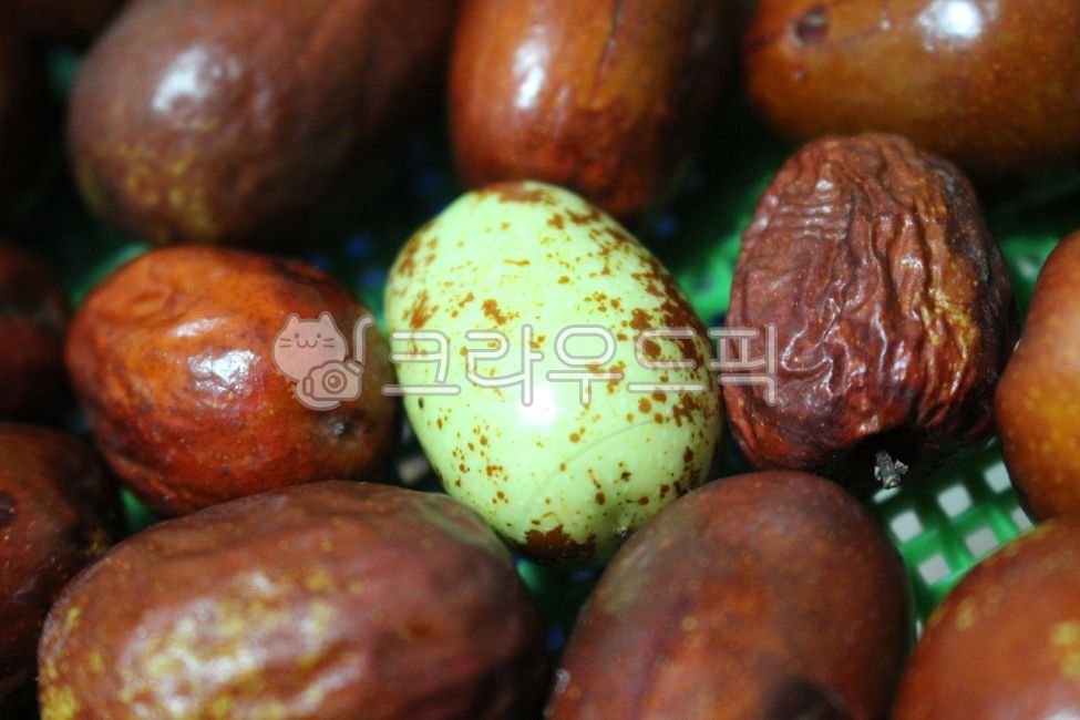 Date,date fruit,herbal medicine,fruit,dried date,tradition,red date,green date,tea,contrast,reversal,military school,Ok-eti