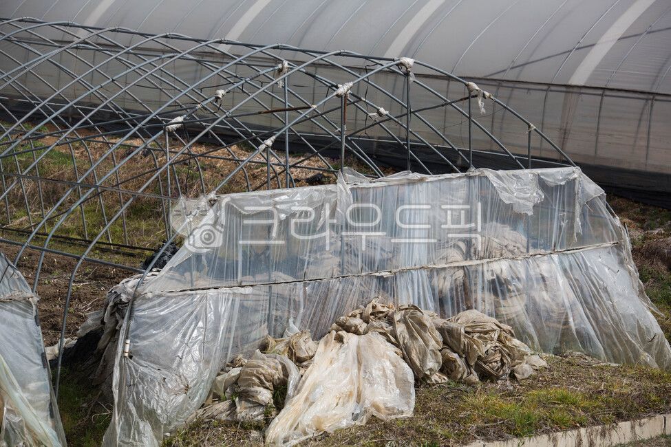 비닐하우스,철골,구조물,하우스,온실,농업