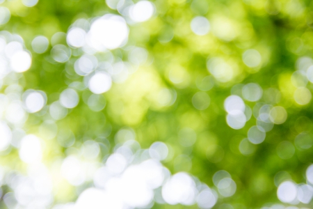 백그라운드-봄-보케-빛망울-봄빛