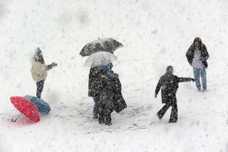 눈보라-겨울-winter-snow-우산