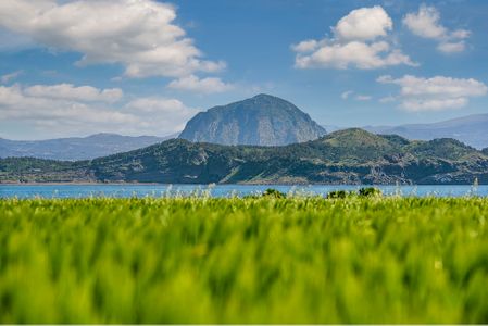 제주도-가파도-청보리밭-청보리-보리