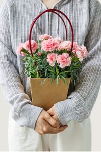 카네이션-꽃-꽃바구니-바구니-아름다움