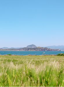 field-자연-옥외-outdoors-제주