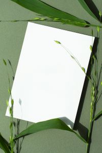 카드목업-초대장-청첩장-분홍-카드