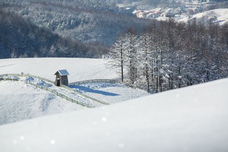 겨울-설경-눈-목장-나무