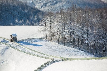 겨울-설경-눈-목장-나무