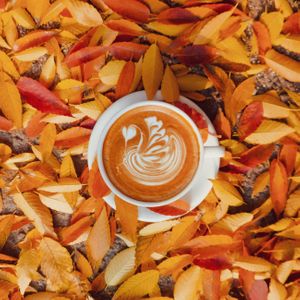 coffee-cafe-cafelatte-latte-커피