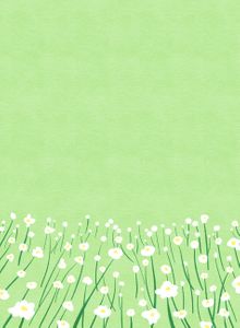 꽃-들판-꽃들판-데이지-그림