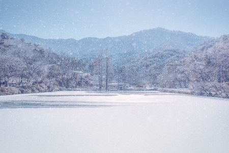 겨울-계절-나무-날씨-낮