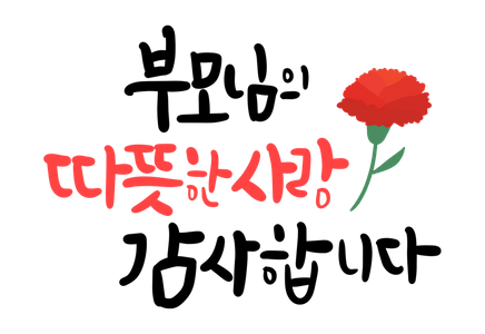 카네이션-꽃-어버이날-스승의날-감사인사