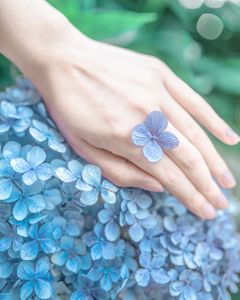 수국-꽃-식물-자연-hydrangea