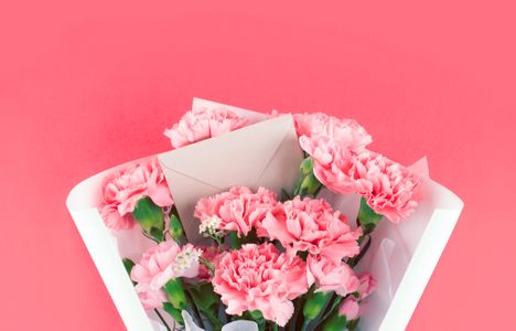 백그라운드-배경-식물-자연-카네이션