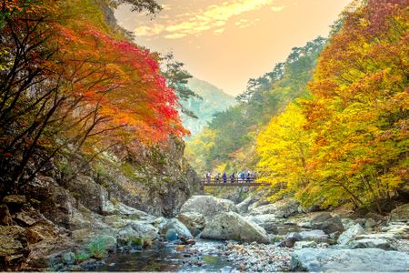 단풍-가을-낙엽-연못-물