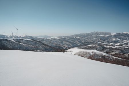 배경-배경이미지-자연-풍경-감성