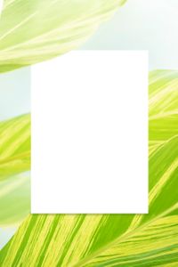 목업-카피공간-메시지-알림-광고