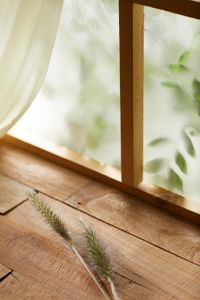 background-window-comfort-decoration-design