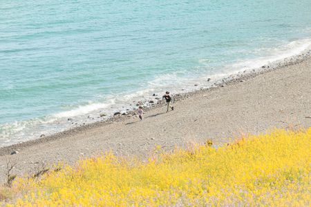 빈티지-하늘-해질녘-field-필드