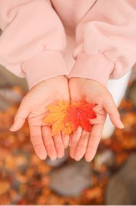leaf-잎-plant-식물-여자손