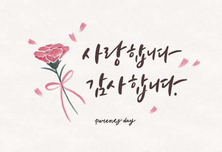 어버이날-감사-스승의날-캘리그라피-카네이션