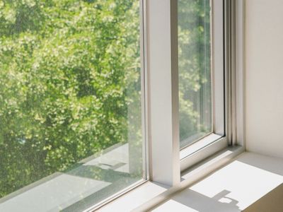 햇빛-초록-식물-창문-창가